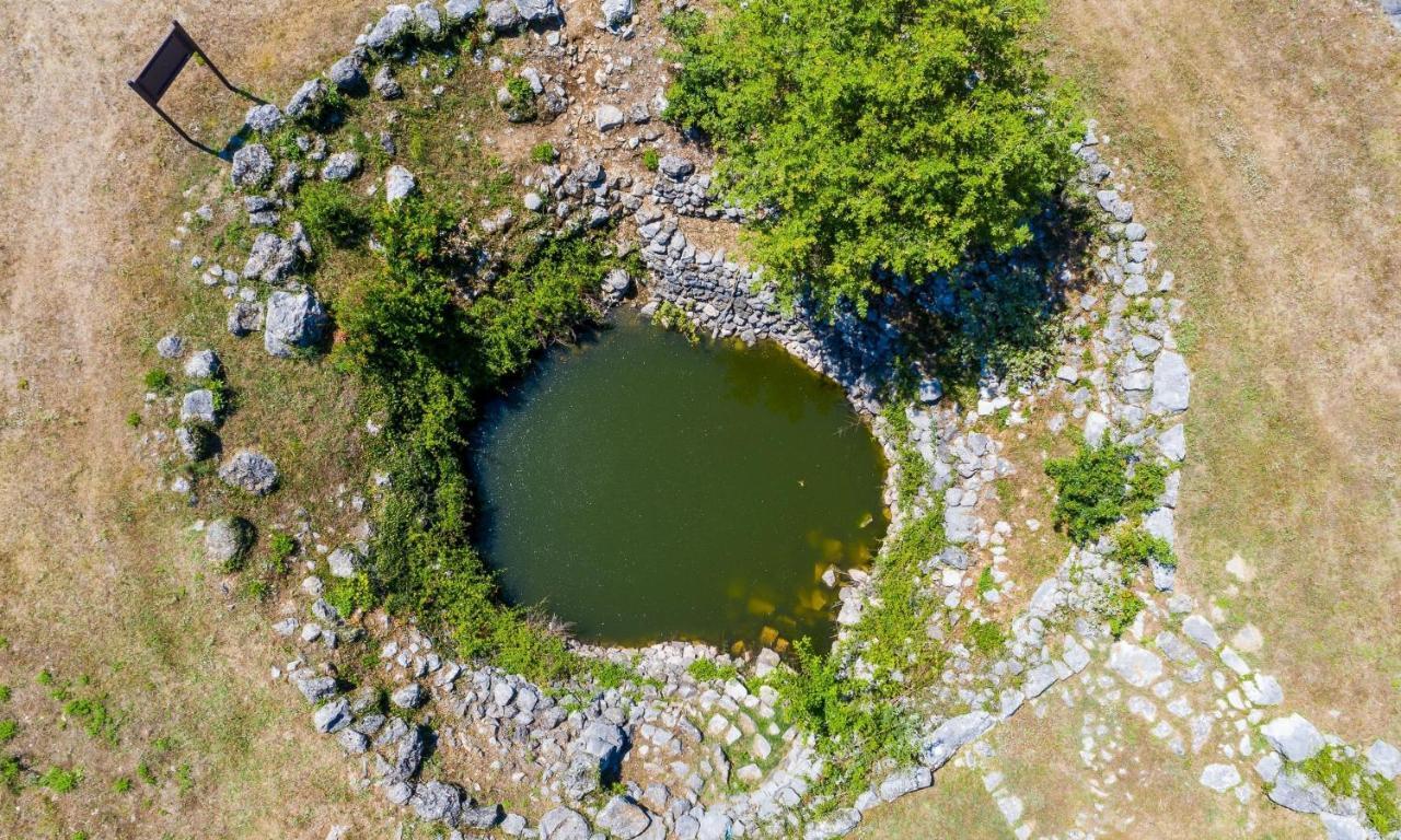 Villa Majkovica Orašac Kültér fotó